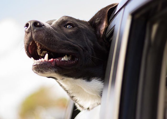 10 Breathtaking Destinations to Explore